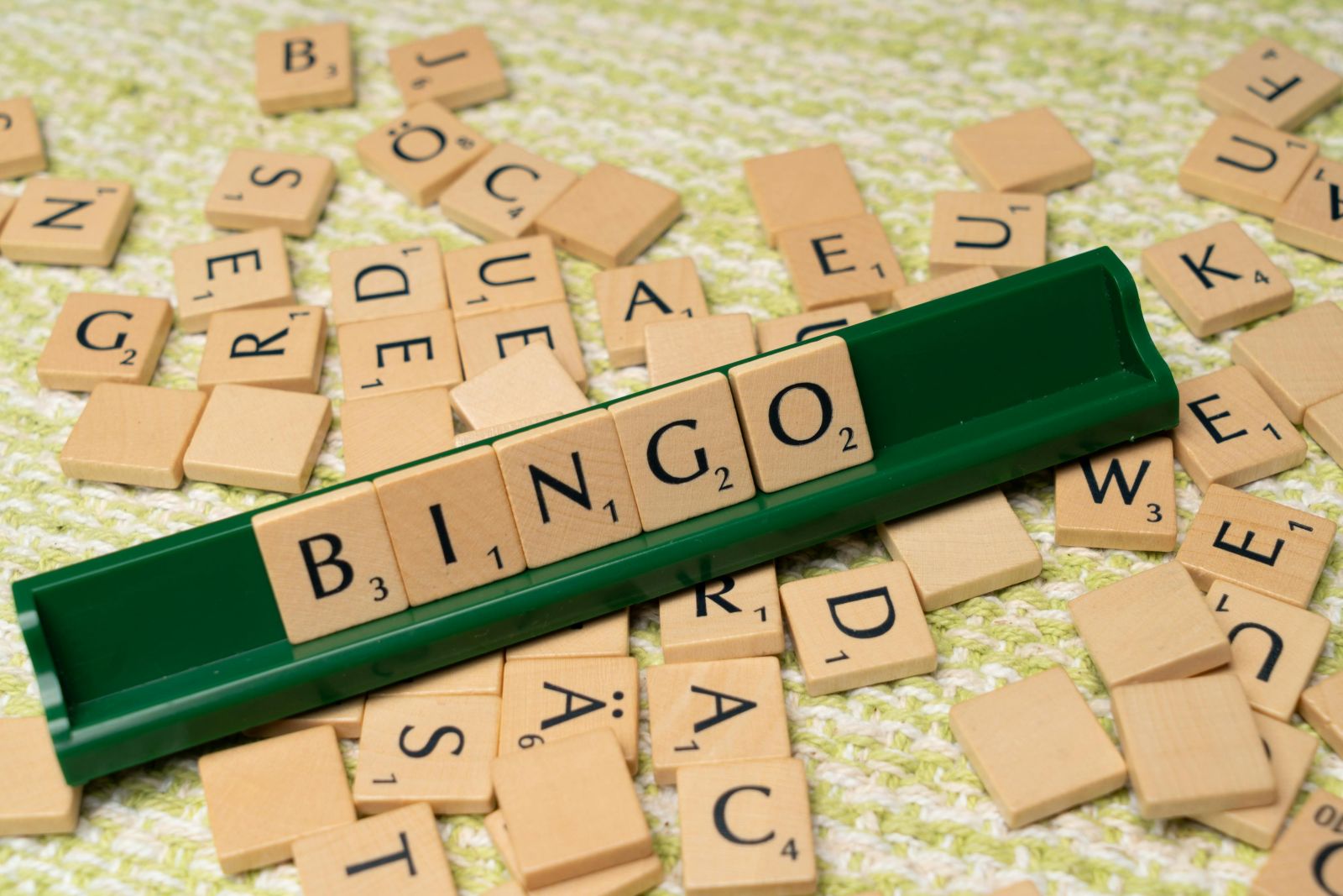 Bingo for Camping Play