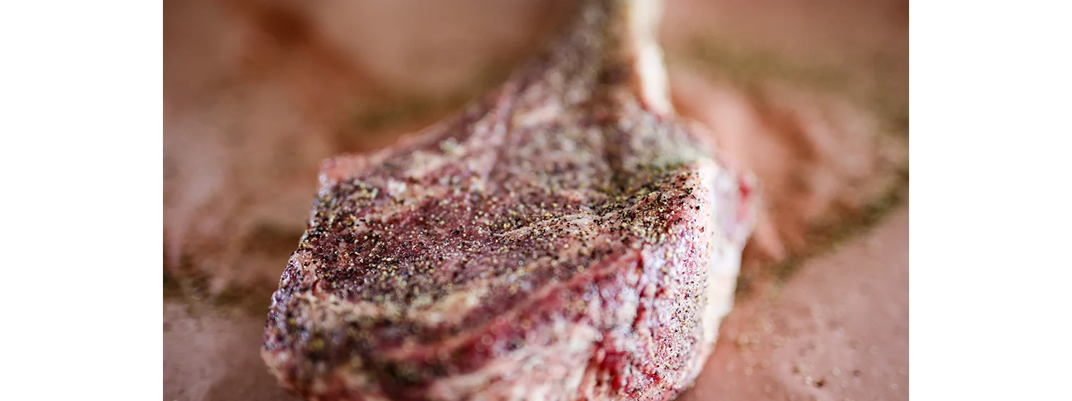 seasoned steak