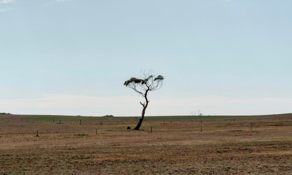 Wilsons Promontory  Australia