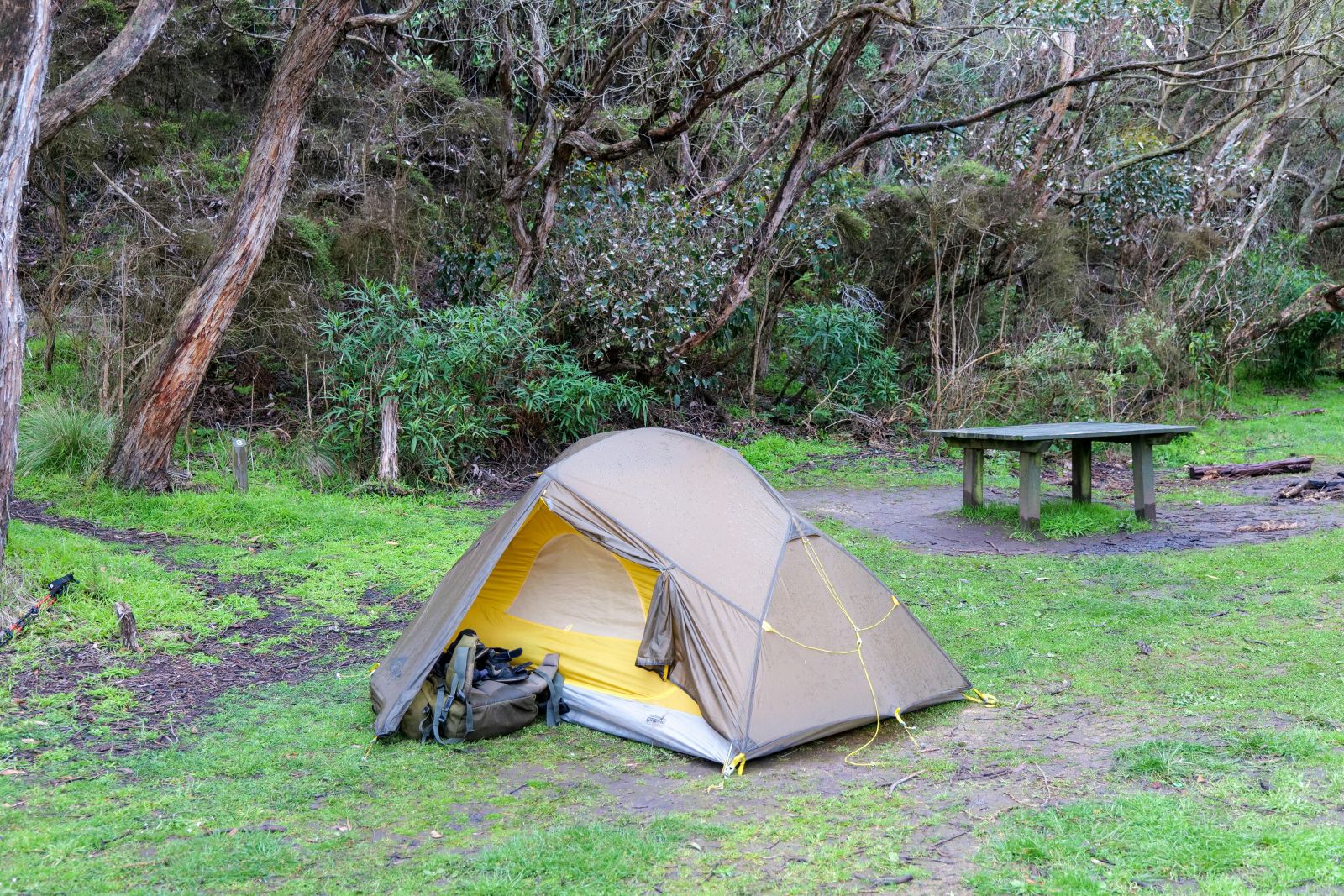 Camping setup with dome tent at Point Leo Foreshore surrounded by coastal bushland and picnic table