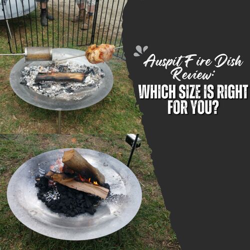 Auspit Fire Dish Review: Which Size Is Right For You? image